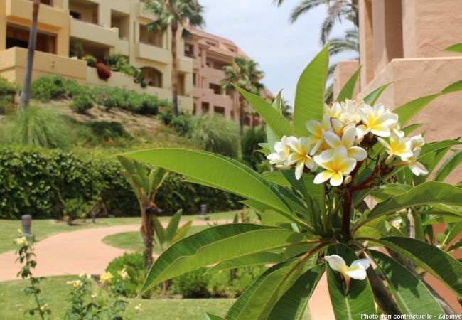 Appartement in Manilva - Duquesa Village 2147 Nice residence with swimming